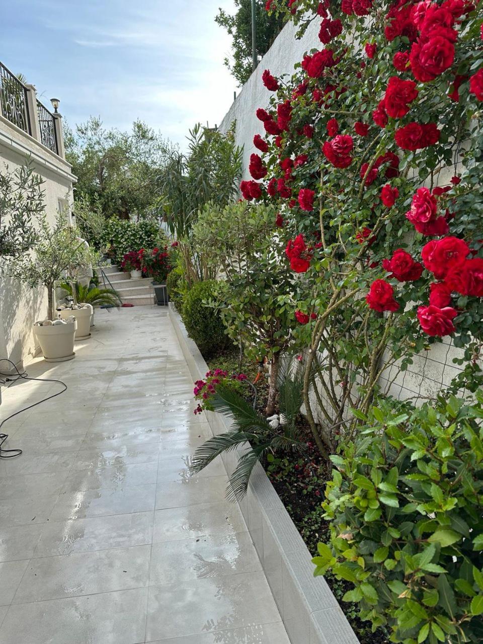 Villabijela21 Улцинь Экстерьер фото